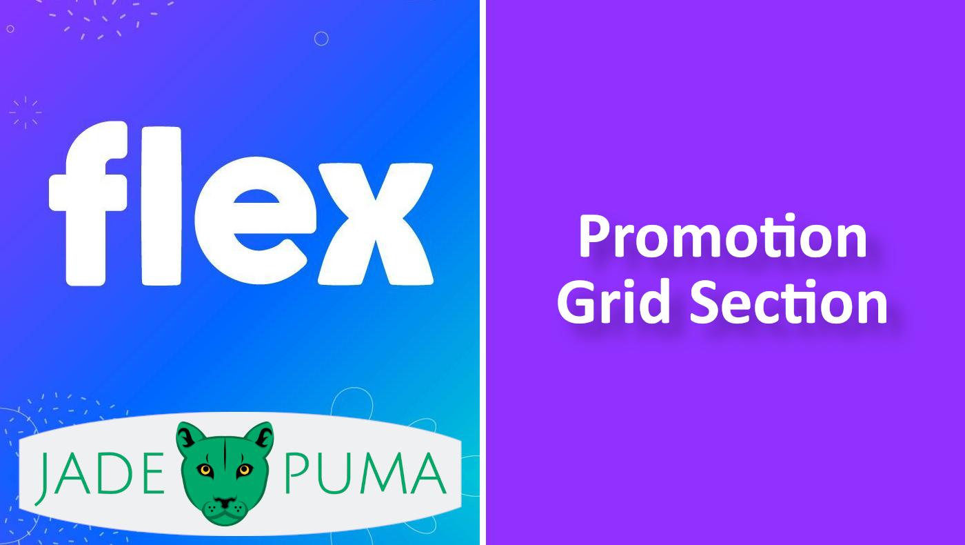 Promotions Grid Section for the Flex Theme