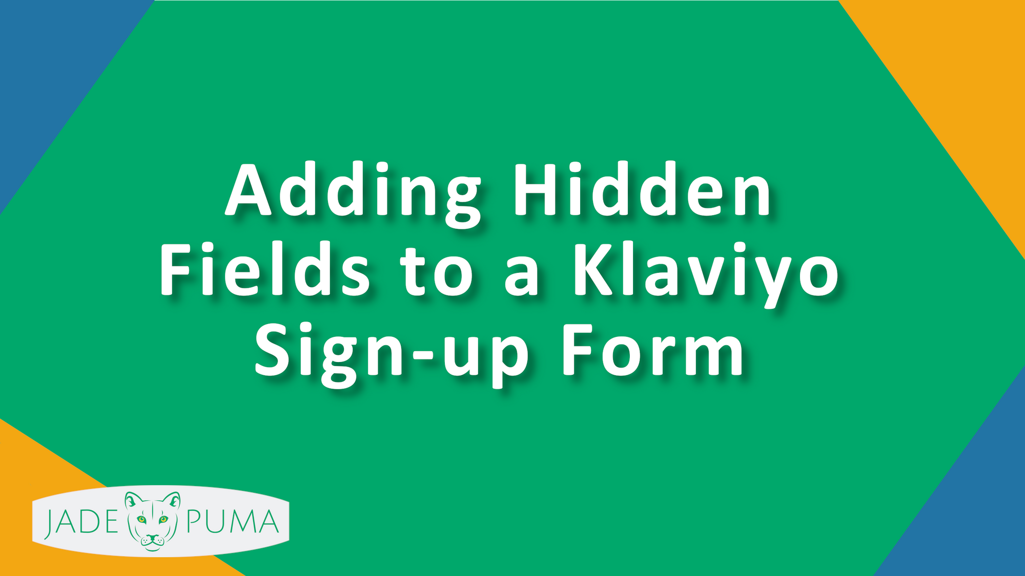 Adding Hidden Fields to a Klaviyo Sign-up Form