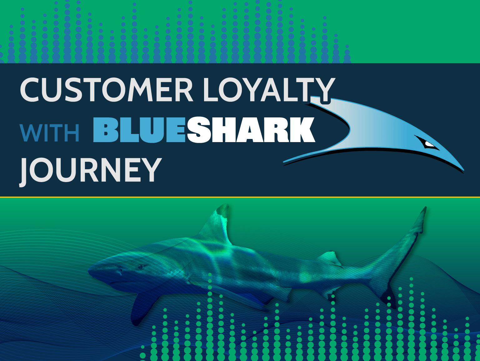 Episode 164 - Customer Loyalty with Blue Shark